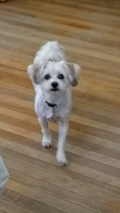 Monty Tech Veterinary Clinic Picture 4