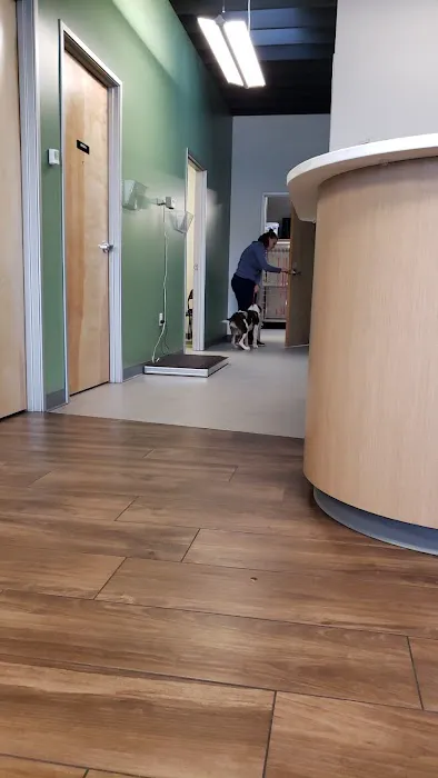 Roseway Veterinary Hospital Picture 1