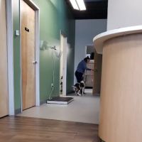 Roseway Veterinary Hospital ico