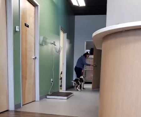 Roseway Veterinary Hospital