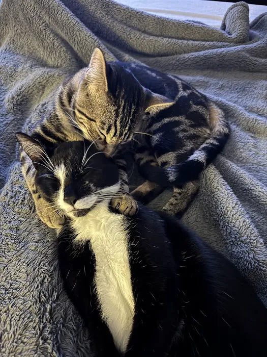 Roseway Veterinary Hospital Picture 3