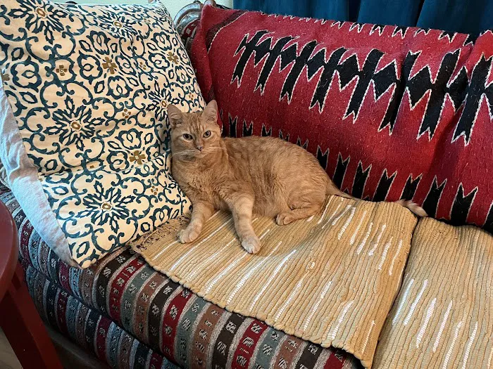 Roseway Veterinary Hospital Picture 2