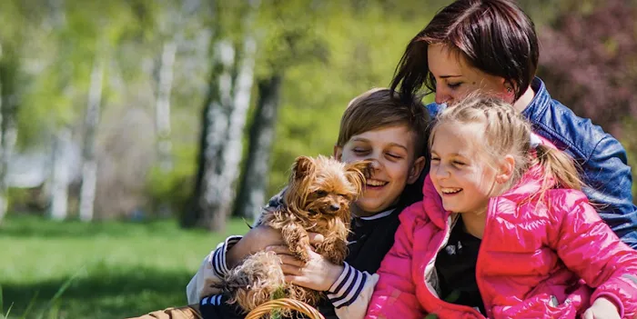 Roseway Veterinary Hospital Picture 10