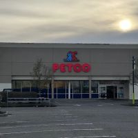 Petco ico