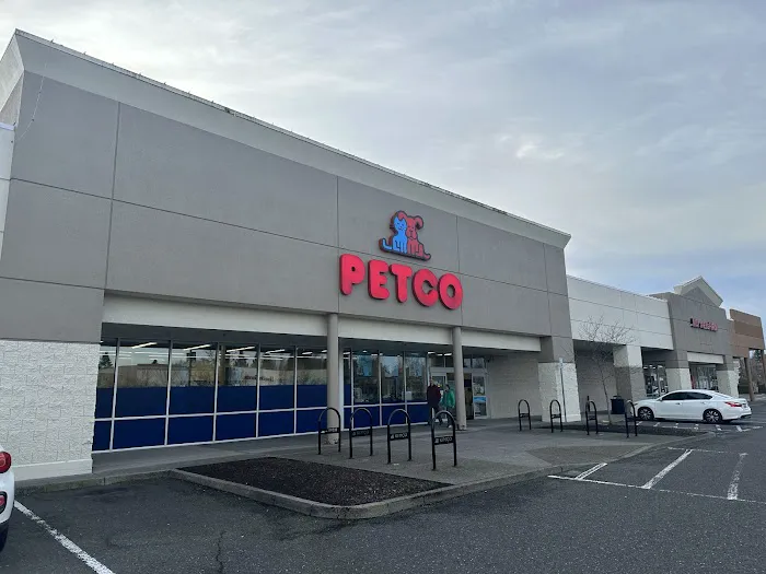 Petco Picture 8