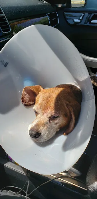 Twin City Animal Hospital Picture 6
