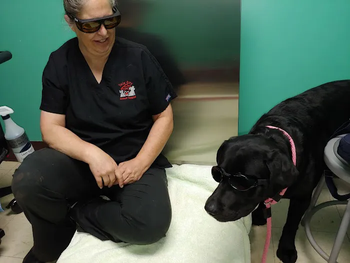 Twin City Animal Hospital Picture 8