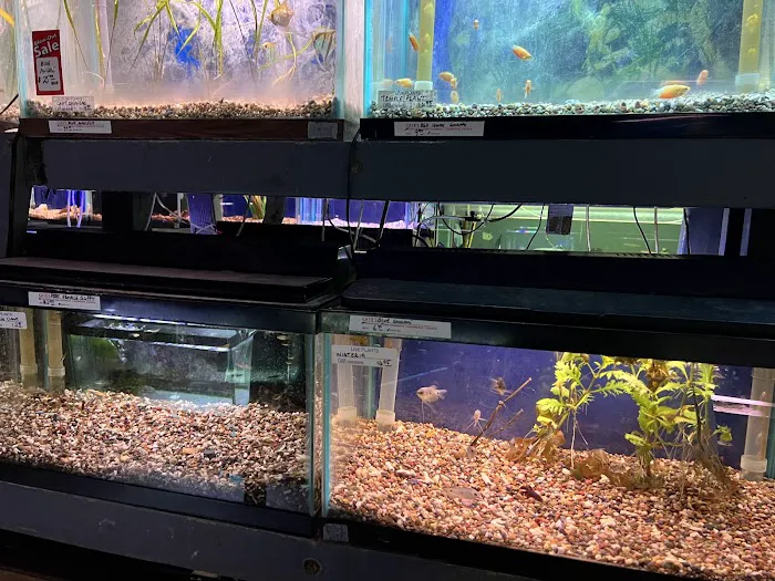 Caye's Aquarium Picture 5