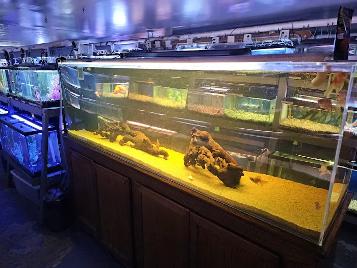 Caye's Aquarium Picture 2