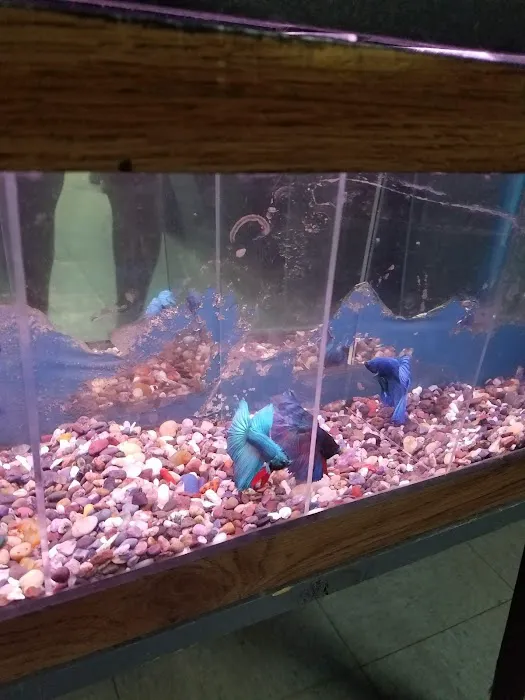 Caye's Aquarium Picture 6