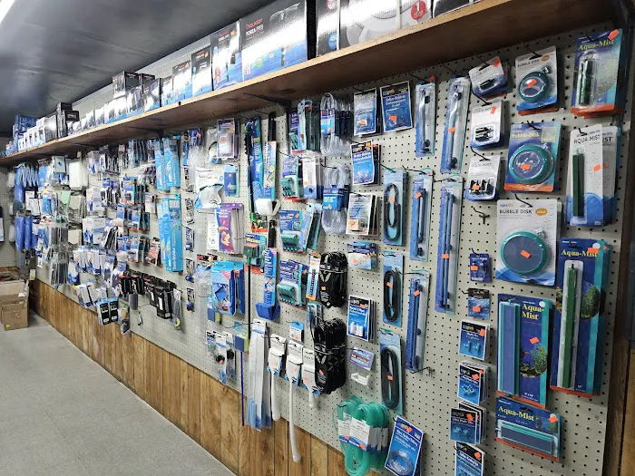 Caye's Aquarium Picture 10