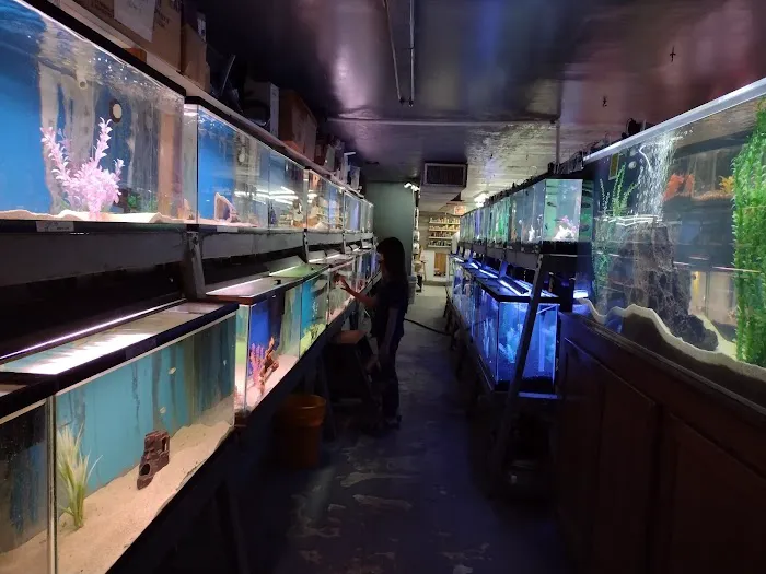 Caye's Aquarium Picture 4