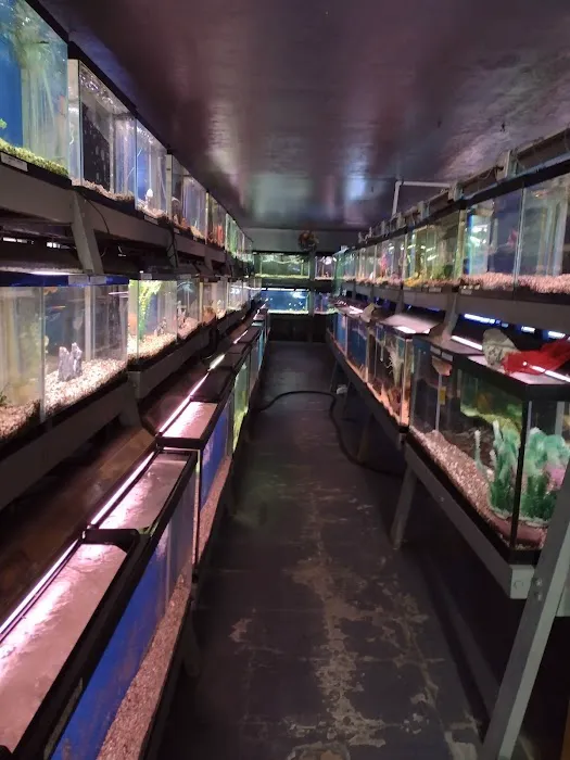 Caye's Aquarium Picture 7