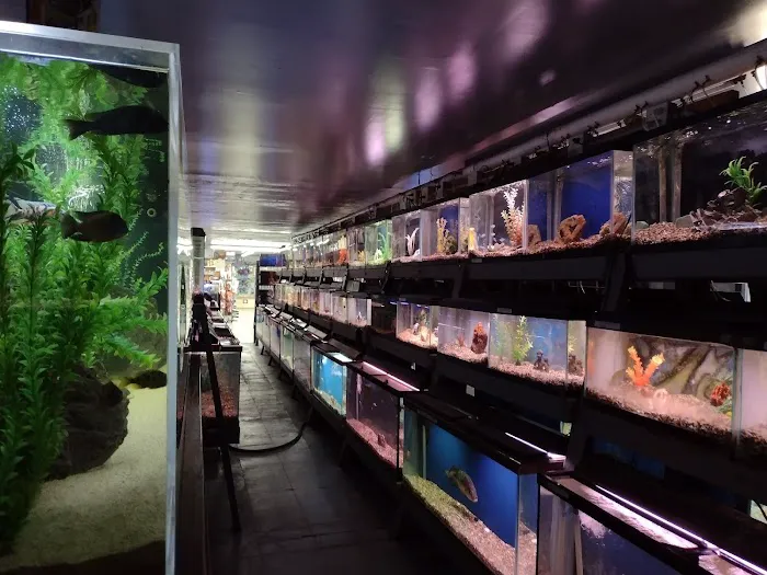 Caye's Aquarium Picture 3