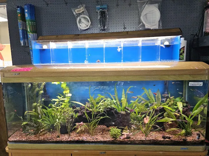 Caye's Aquarium Picture 8