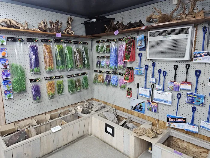 Caye's Aquarium Picture 9