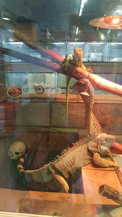 A to Z Pets Inc Picture 7