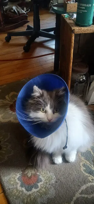 South Deerfield Veterinary Clinic Picture 7