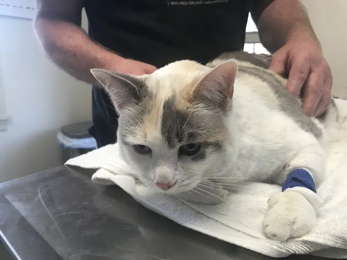 South Deerfield Veterinary Clinic Picture 2