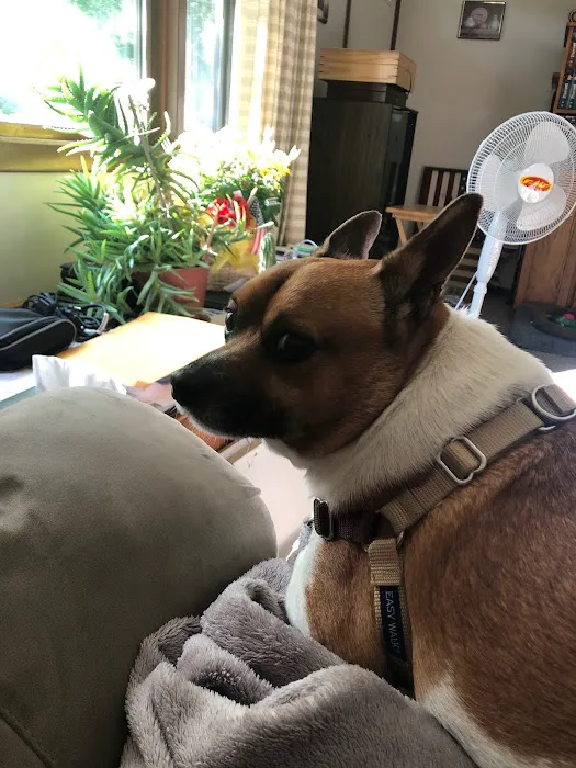 South Deerfield Veterinary Clinic Picture 5