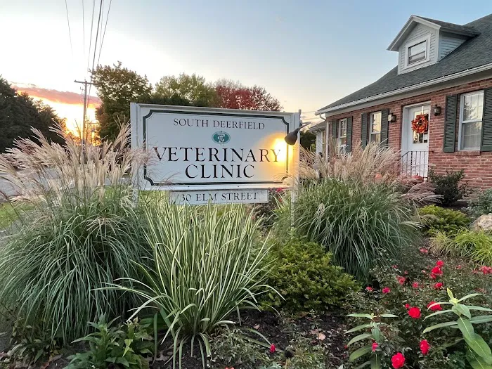 South Deerfield Veterinary Clinic Picture 10