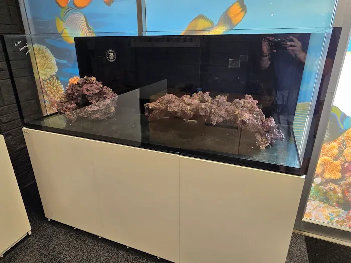 CB'S Tropical Aquarium Picture 1