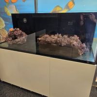 CB'S Tropical Aquarium ico