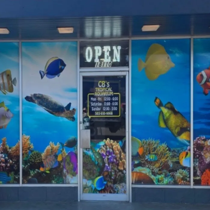 CB'S Tropical Aquarium Picture 10