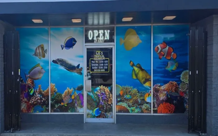 CB'S Tropical Aquarium Picture 3