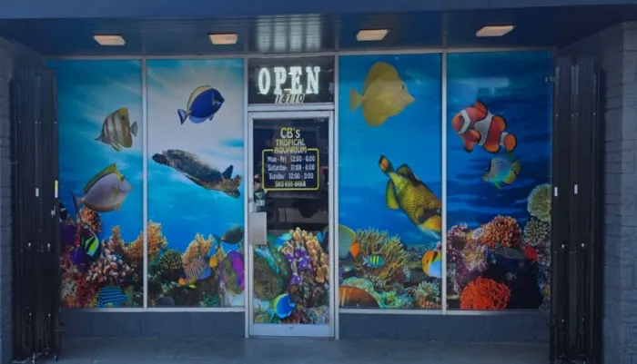 CB'S Tropical Aquarium Picture 9