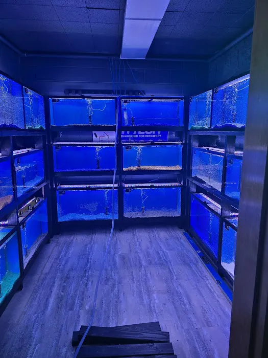 CB'S Tropical Aquarium Picture 7