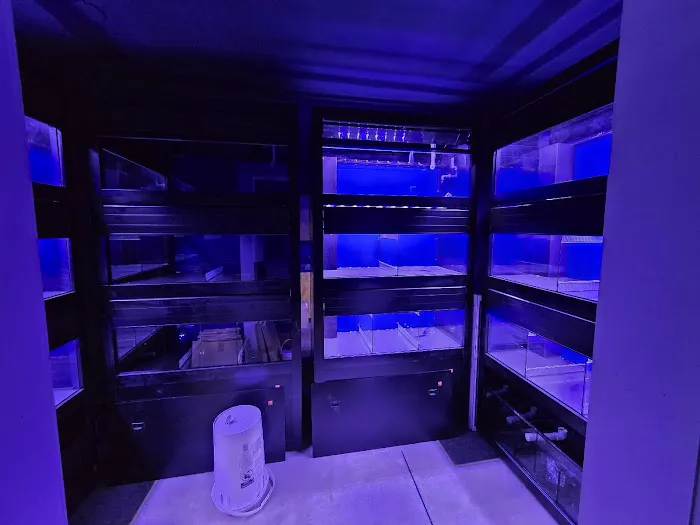 CB'S Tropical Aquarium Picture 8