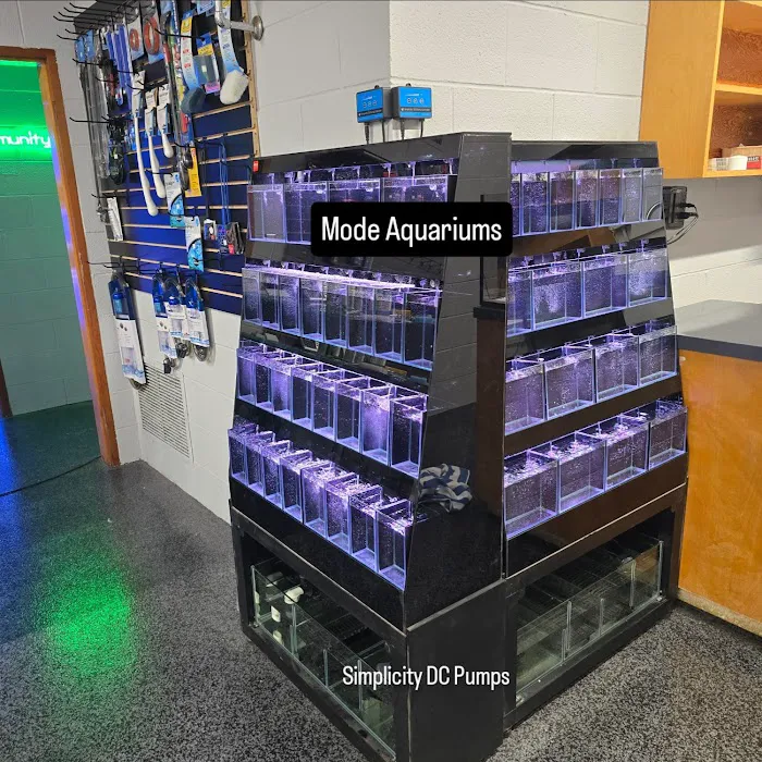 CB'S Tropical Aquarium Picture 4