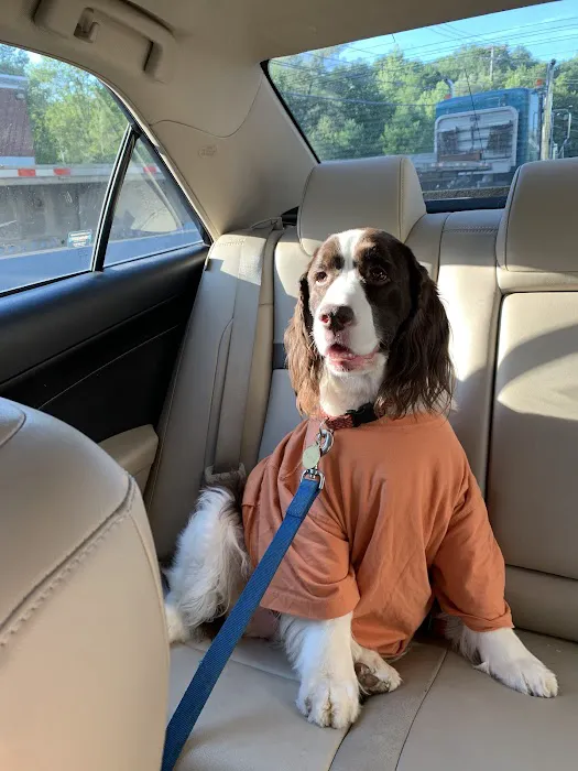 Veterinary Emergency & Specialty Hospital - South Deerfield (VESH) Picture 7