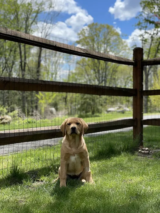 Veterinary Emergency & Specialty Hospital - South Deerfield (VESH) Picture 9