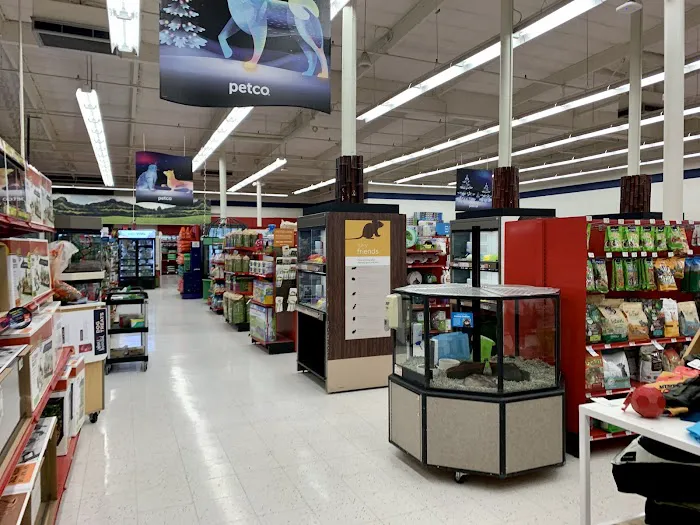 Petco Picture 4