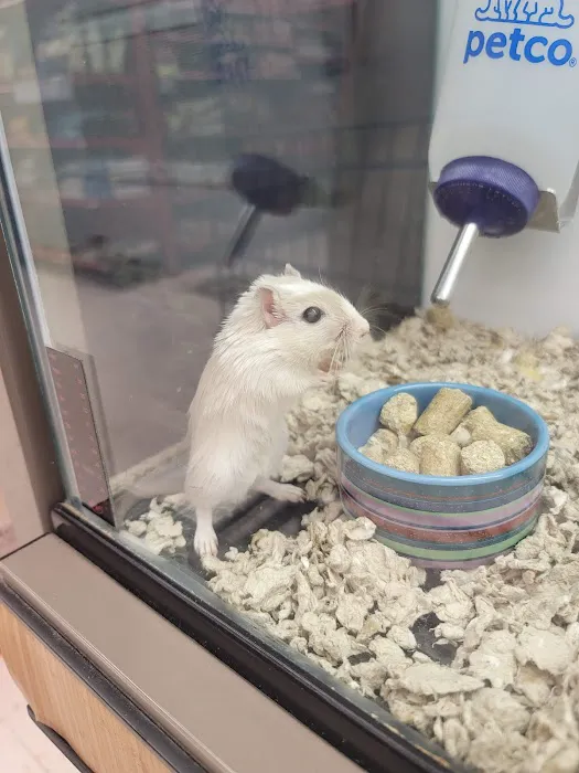 Petco Picture 8