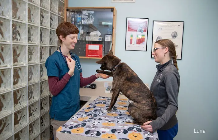 Windy Hollow Veterinary Clinic Picture 7