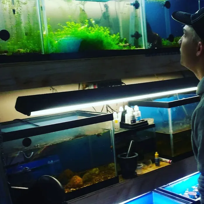 Man O War Aquatics Picture 9