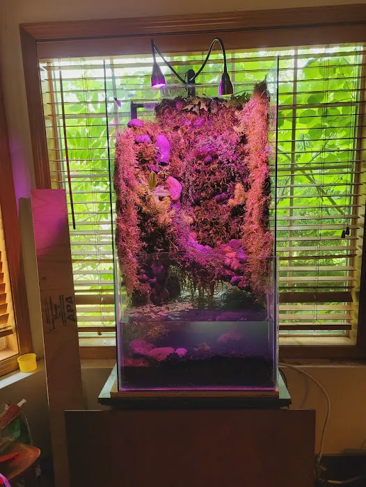 Man O War Aquatics Picture 5