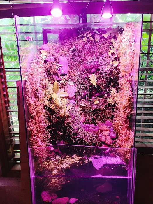 Man O War Aquatics Picture 3