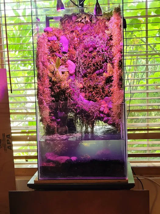 Man O War Aquatics Picture 4