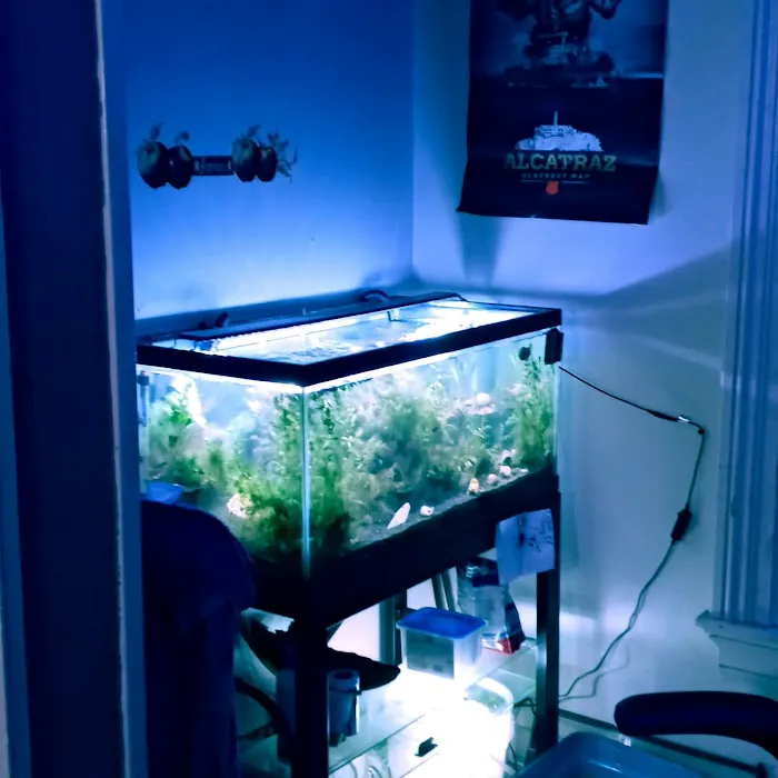 Man O War Aquatics Picture 6