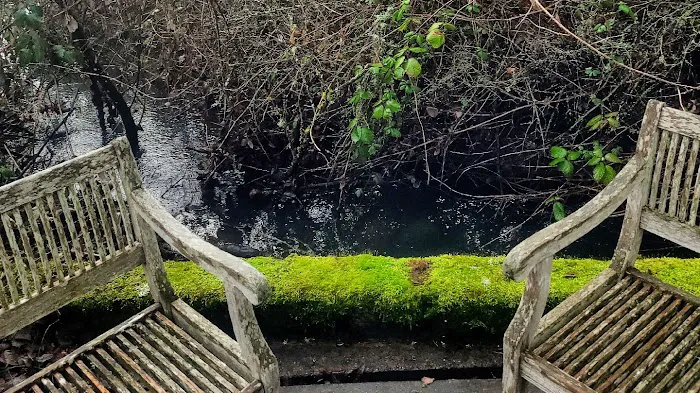 Man O War Aquatics Picture 10