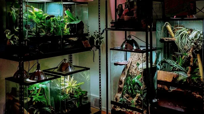 Man O War Aquatics Picture 8