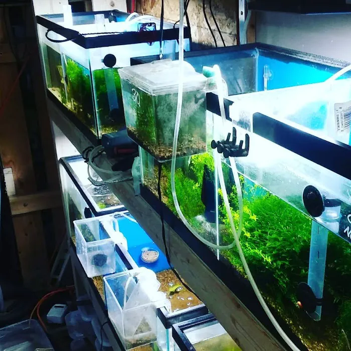 Man O War Aquatics Picture 7