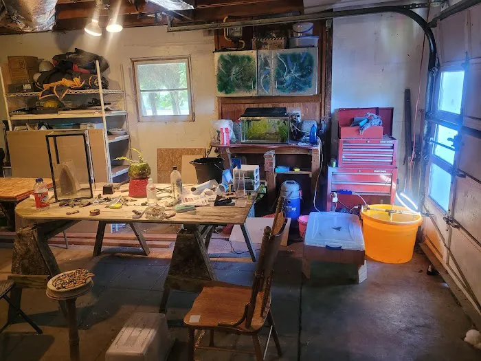 Man O War Aquatics Picture 2