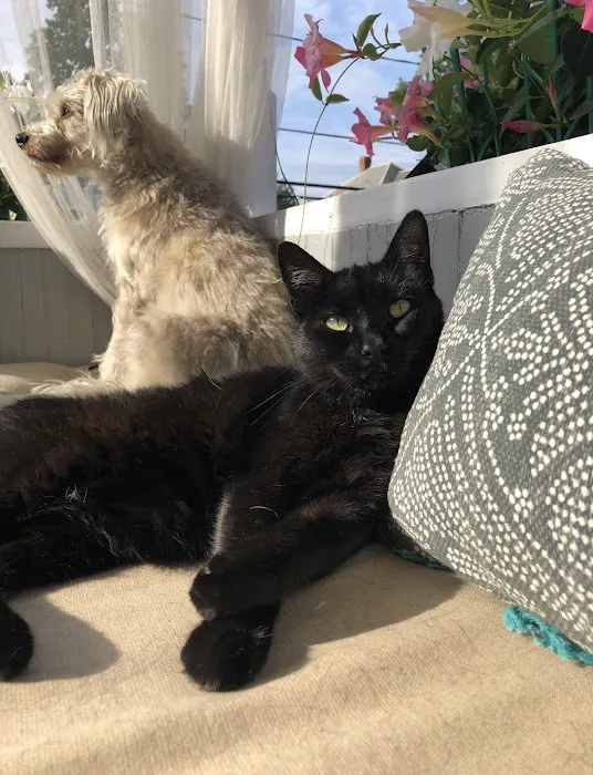 Whispering Willow Home Euthanasia Picture 2