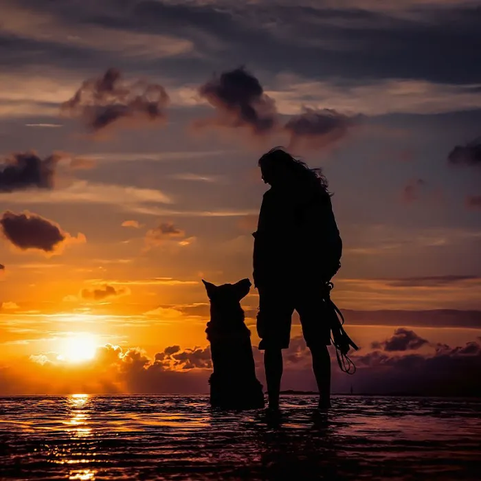 Whispering Willow Home Euthanasia Picture 3