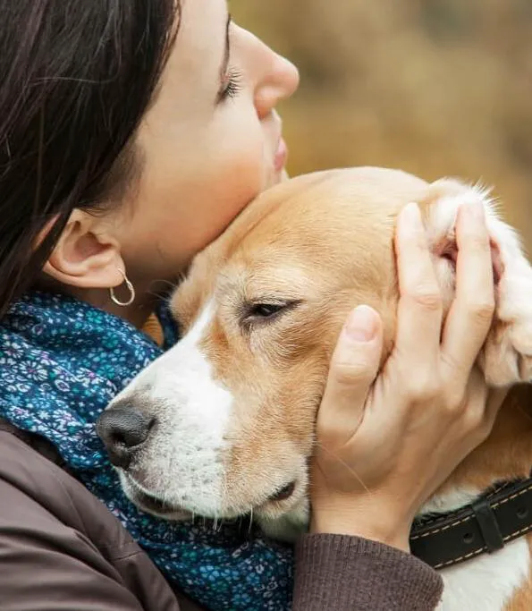 Whispering Willow Home Euthanasia Picture 8